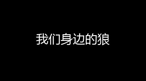 流放之路s22守护者技能石链接,我们身边的狼