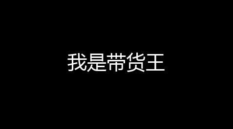 我的世界网易发烧游戏,我是带货王