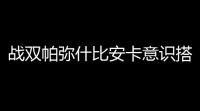 战双帕弥什比安卡意识搭配攻略 比安卡意识怎么搭配