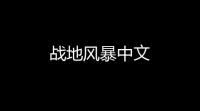 战地风暴中文
