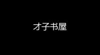 才子书屋