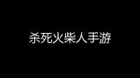 杀死火柴人手游