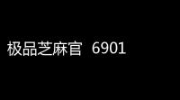 极品芝麻官  6901032731
