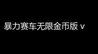 暴力赛车无限金币版 v110