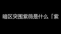 暗区突围紫薇是什么「紫薇暗区突围国际服」