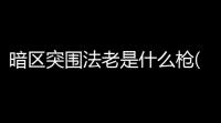 暗区突围法老是什么枪(暗区突围fal新手实战)