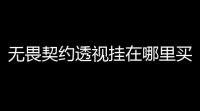 无畏契约透视挂在哪里买	：详细指南，帮你找到最合适的地点