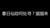 春日仙踪何处寻？猫猫来给你指引~《一念逍遥》最新活动“花影仙踪”今日开启！