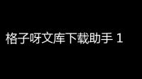 格子呀文库下载助手 10 绿色版