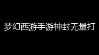 梦幻西游手游神封无量打法攻略