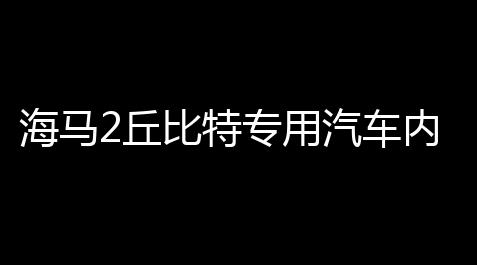 金铲铲图片,海马2丘比特专用汽车内饰装饰改装配件中控仪表台防晒遮光避光垫
