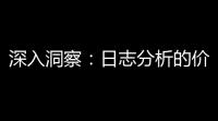 深入洞察：日志分析的价值与实用性