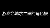 游戏绝地求生里的角色被杀绝地求生女角色被卡死
