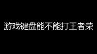 游戏键盘能不能打王者荣耀〖王者荣耀这样的打字界面怎么设置的〗