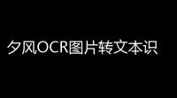 夕风OCR图片转文本识别工具 22 绿色版