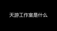 天游工作室是什么
