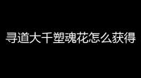 寻道大千塑魂花怎么获得