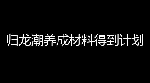 游戏辅助工具网站,归龙潮养成材料得到计划