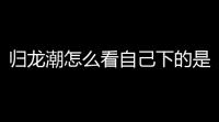 归龙潮怎么看自己下的是不是官服
