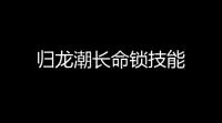 归龙潮长命锁技能