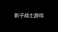 影子战士游戏