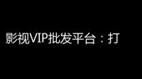 影视VIP批发平台：打造你的视界，轻松发卡！