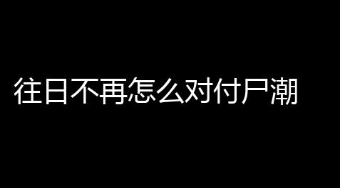 17173魔力宝贝采集合成,往日不再怎么对付尸潮 往日不再对付尸潮指南