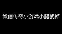 微信传奇小游戏小腿就掉线(微信小游戏荣耀世纪传奇)