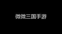 微微三国手游