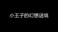 小王子的幻想谜境