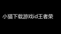小猫下载游戏id王者荣耀〖王者荣耀游戏名字大全骚气〗