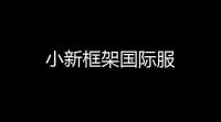 小新框架国际服