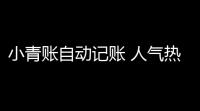 小青账自动记账 人气热度：26℃