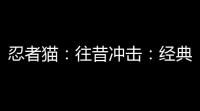 忍者猫：往昔冲击
：经典动画重生为游戏 
，唤醒90年代情怀