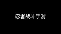 忍者战斗手游