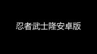 忍者武士隆安卓版