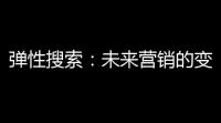 弹性搜索：未来营销的变革引擎