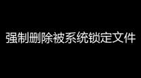 强制删除被系统锁定文件(FileGovernor)