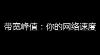 带宽峰值	：你的网络速度密码
，掌握关键！