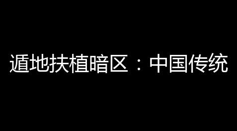地下城与勇士汉化破解版,遁地扶植暗区：中国传统武术的神秘力量