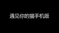 遇见你的猫手机版