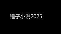 锤子小说2025