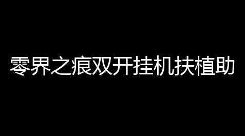 卡密网自动发卡平台,零界之痕双开挂机扶植助手 充值返利介绍