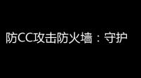 防CC攻击防火墙：守护你的网络安全