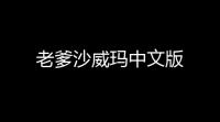老爹沙威玛中文版