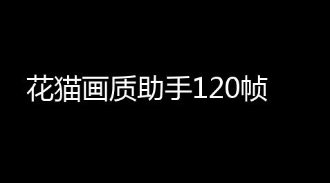 地铁跑酷外挂版,花猫画质助手120帧