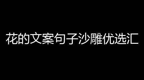 地铁直装,花的文案句子沙雕优选汇总216句(婷婷解会谈和平精英游戏)