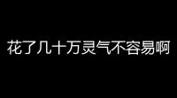 花了几十万灵气不容易啊