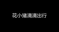 花小猪滴滴出行