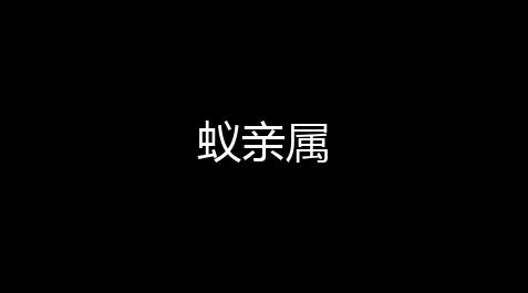生死狙击国语版在线看,蚁亲属
